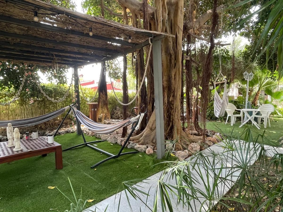Suite Privada Frente A La Piscina Para 2 Personas Con Sofa Cama Para 2 Mas 4P No Es Casa Completa San Vicente Raspeig エクステリア 写真